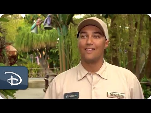 Every Role a Starring Role - Disneyland Arborists | Disneyland Resort - UC1xwwLwm6WSMbUn_Tp597hQ