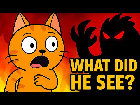 He Was Just Playing… Until THIS Happened! | CatVerse Animated Short