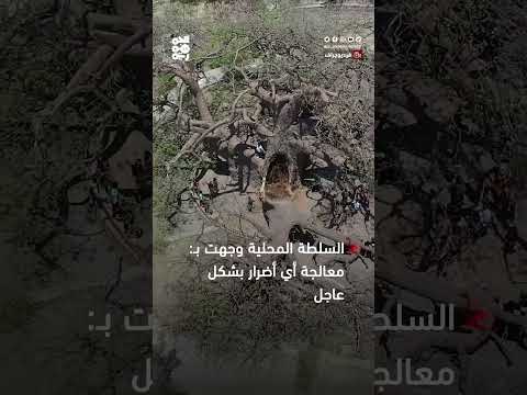 قناة الجمهورية