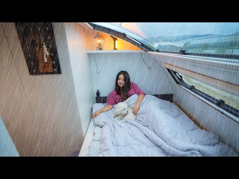 하루종일 퍼붓는 폭우 속 귀여운 댕댕이와 아늑한 카라반 캠핑 / 오리불고기, 콩국수 하루종일 퍼붓는 폭우 속 귀여운 댕댕이와 아늑한 카라반 캠핑 / 오리불고기, 콩국수