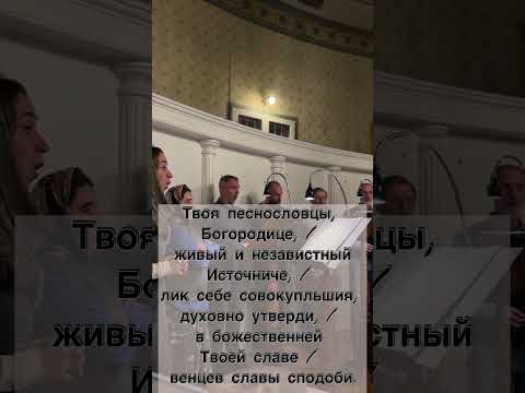 Канон #orthodoxchurch #music #православныйхор #канон #всенощноебдение #orthodoxfaith #god #prayer