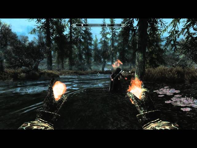 The Only Skyrim Friendly Fire Mod You