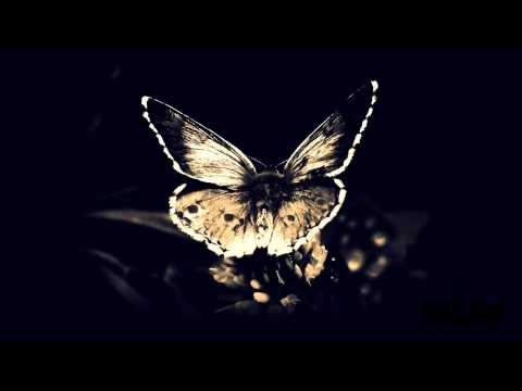 Bassnectar - Butterfly (feat. Mimi Page) - UCkfMJApxxdy-h41xy_8AHNw