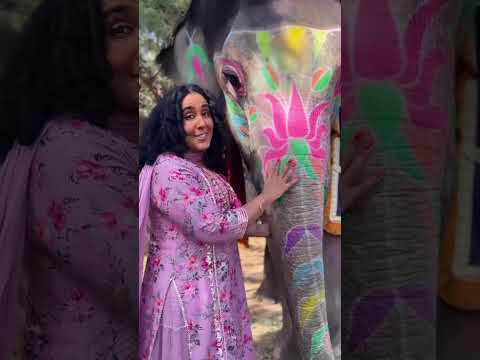 💚 Bonding with Elephant #shortvideo #love #tags