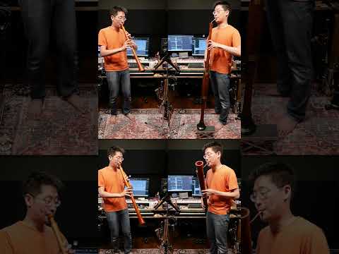 Japanese Traditional Song For Children by Shawm & Dulzian【あんたがたどこさ Anta gata doko sa】 #renaissance