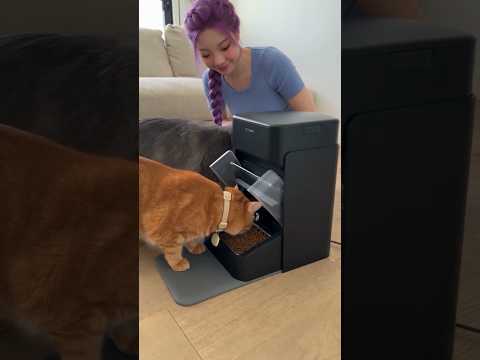 Amazon Products You Should Never See 😳
