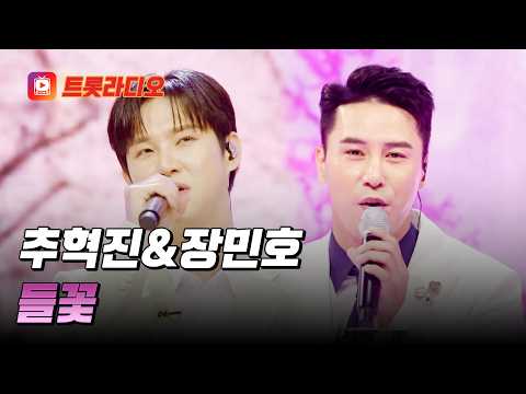 가슴 아려오는 절절함💧 추혁진&amp;장민호의 '<strong>들꽃</strong>'♪ #트롯라디오 #TVCHOSUNMUSIC (TV CHOSUN 250313 방송 외)