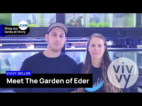 Meet THE GARDEN OF EDER_ Grant and Shelby show us  Meet The Garden of Eder (TGOE), a Vivvy seller. Grant and Shelby have been breeding shrimp for over 
