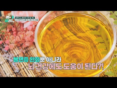 염증 관리, 불면증 완화부터 뇌 건강까지 도움 되는 🔥<strong>젖산</strong> 마그네슘🔥 | 바디멘터리 몸이 답이다 16회 | JTBC 260928 방송