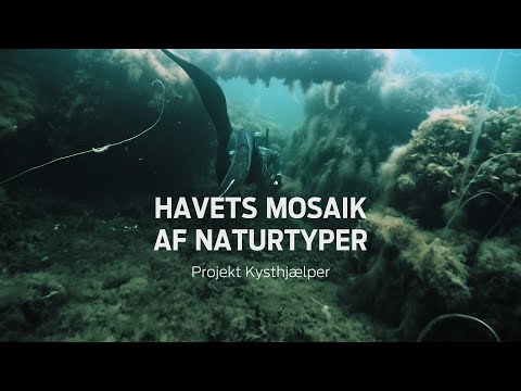 Havets mosaik af naturtyper