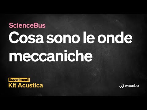 ScienceBus Wacebo: introduzione alle onde meccaniche e al kit di acustica con Sabrina