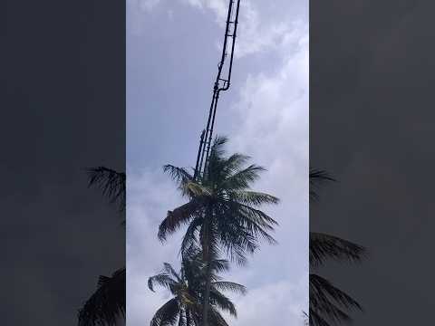 aaj boom se nariyal Tora ham video # mini vlog terendig reals#shor tvideo