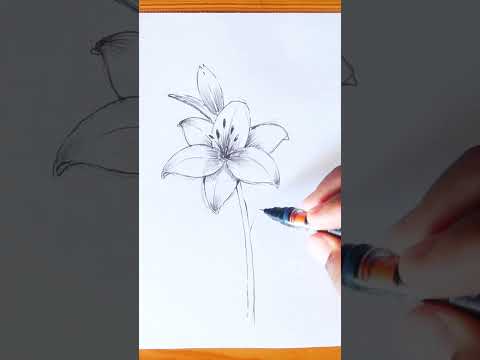 How to draw a flower