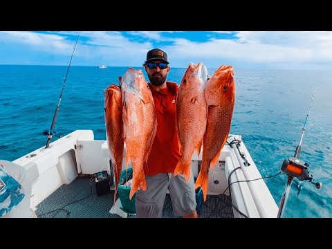 You need $100,000 permit to keep red snapper in the atlantic!!! video thumbnail