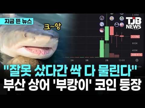 "잘못 샀다간 싹 다 물린다" 부산 상어 '부캉이' 코인 등장｜ TJB 대전·세종·충남뉴스