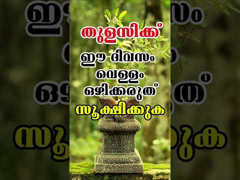 തുളസിച്ചെടിക്ക് വെള്ളം ഒഴിക്കാൻ പാടില്ലാത്ത ദിവസങ്ങൾ #pranavammedia #eveyone #astrology #malayalam