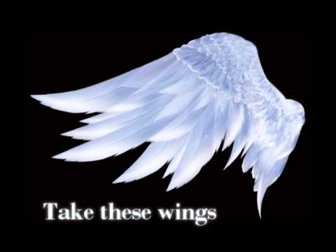 《Take these wings》試唱【黑羽】