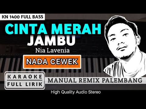 CINTA MERAH JAMBU [CEWEK] REMIX PALEMBANG | KARAOKE FULL LIRIK