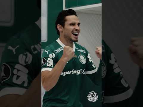 image para ilustrar o artigo