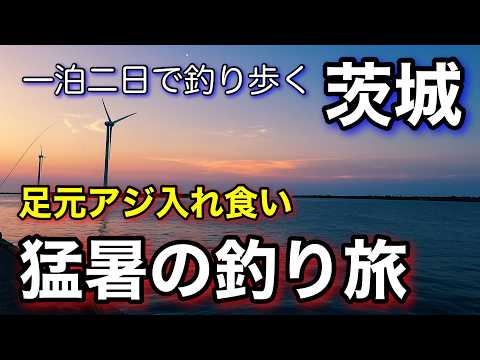 猛暑の堤防でアジ確保！釣れたアジをばくだん丼にしたら美味すぎた！2025.8釣り旅