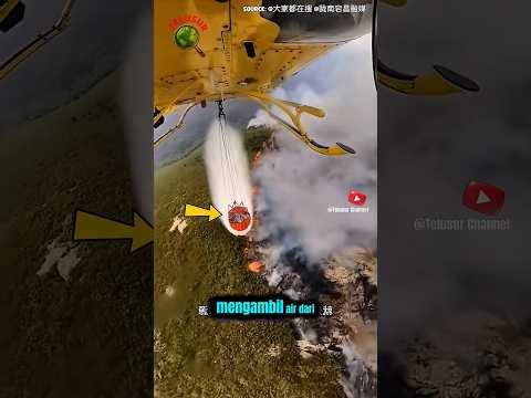 Inilah Alasan Orang di Amerika Takut Punya Kolam Renang Pribadi! 😱 #shorts #HelikopterPemadam