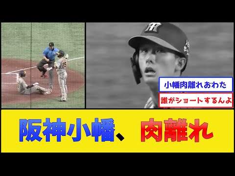 【小幡肉離れ】阪神タイガース、マジでショートがいなくなってしまう【阪神タイガース】【プロ野球なんJ 2ch プロ野球反応集】