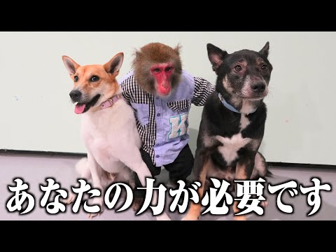 かなりマズい状況になりました…助けてください