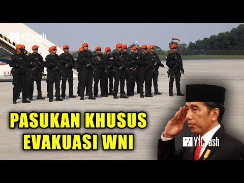 Konflik Sudan Kian Memanas, Jokowi Pantau Evakuasi WNI