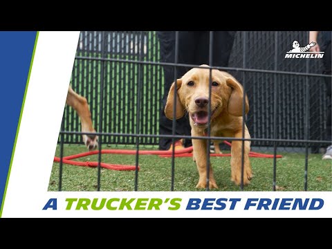 A Trucker's Best Friend