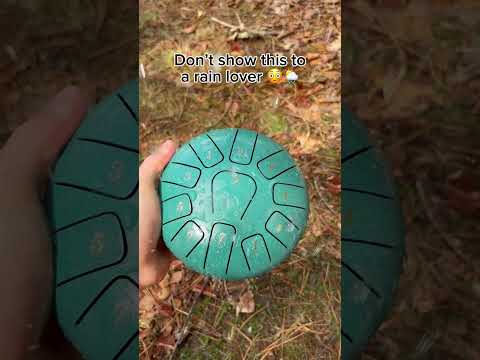 The <strong>rain</strong> is way better <strong>now</strong> 🥹🌦️ #raindrum #instrument #garden #home