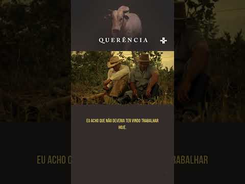 #Shorts | A jornada de um vaqueiro em “Querência”