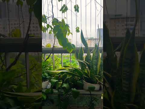 Kinh sám hối_Hành trình tìm lại bình yên trong tâm trí