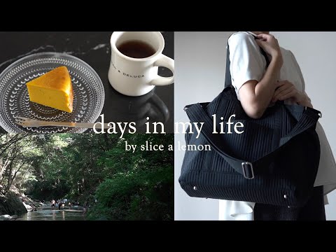 秋のお菓子作りと産前準備/第三子の入院バッグの中身/料理vlog