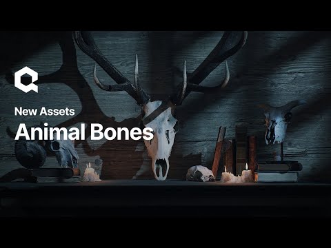 Animal Bones | Quixel Megascans | Now on @Fab