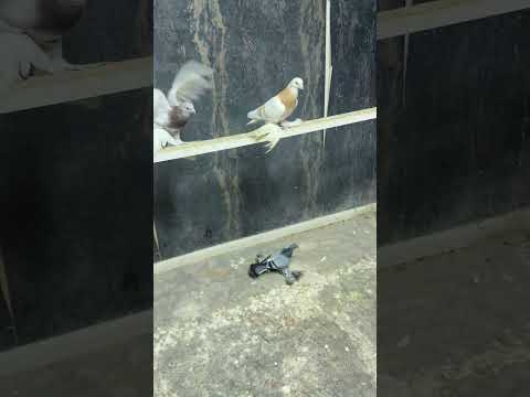 24 февраля 2026 г.