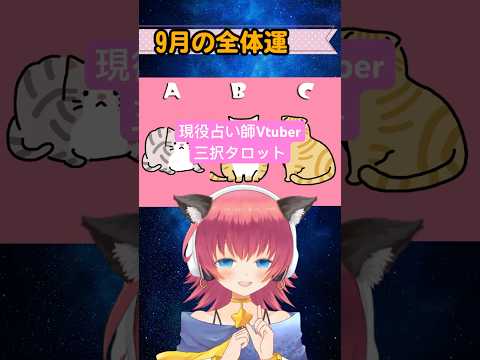 thumbnail_SFSMViKjYmU