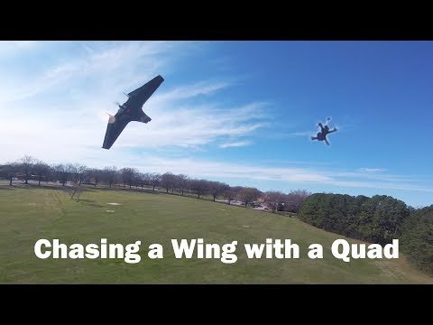 Quad vs. Wing: Chasing Shelby Voll at Full Throttle - UCnAtkFduPVfovckNr3un1FA