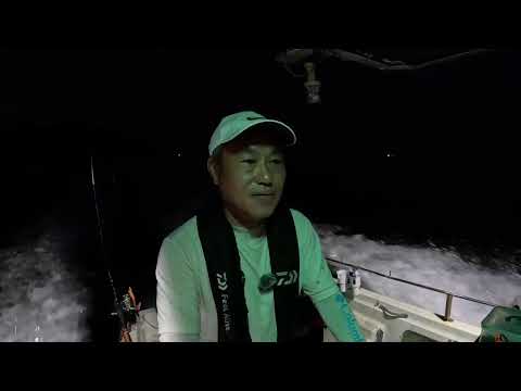 사량도 무늬오징어 실시간 네울이 심합니다.