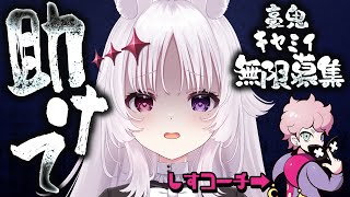 スト6 🐰 大会にむけてキャラ対策したい マスター以上の豪鬼・キャミィ無限に募集.ᐟ.ᐟ【#智念せいら #すぺしゃりて】