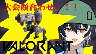 【VALORANT】大会顔合わせ！！！！【ナツキアヤト/Vtuber】