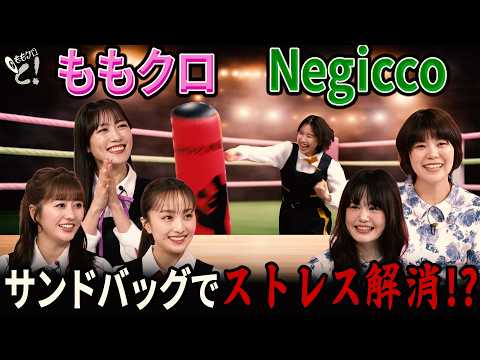 ももクロちゃんと！～アイドルのストレス解消法～