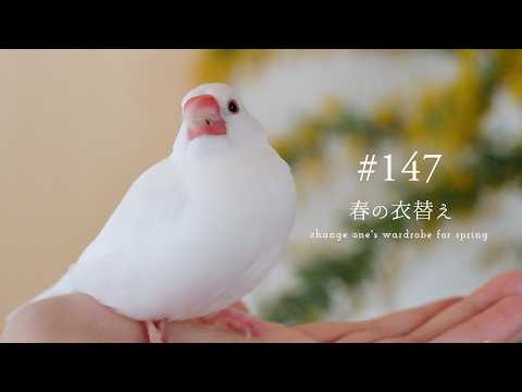 春に向けての衣替え