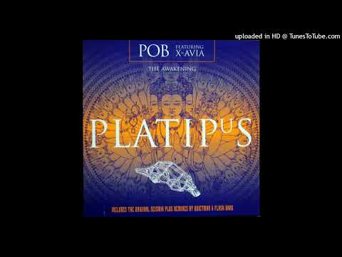 Pob feat. X-Avia - The Awakening (Flash Bang Remix)