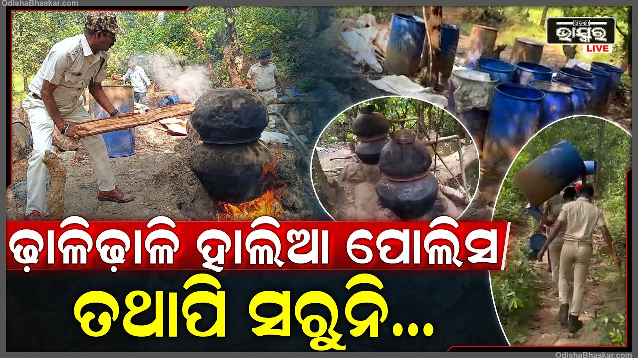 ଢାଳି ଢାଳି ହାଲିଆ ପୋଲିସ ତଥାପି ସରୁନି ମଦ ! ଦେଶୀ ମହୁଲି ମଦ ଭାଟିରେ ଚଢ଼ାଉ କରି ମଦ ନଷ୍ଟ କଲା ଅବକାରୀ ବିଭାଗ