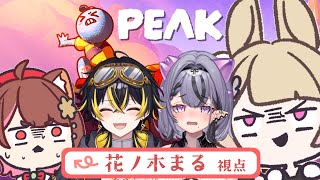 〖 #PEAK 〗山登りっちゅうのは…？〖 花ノ木まる / ゆにれいど！ 〗