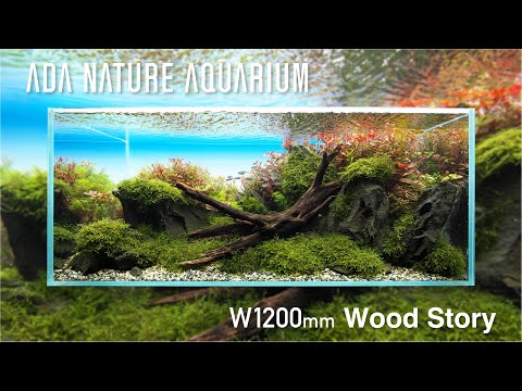 [ADAview] Wood story  -W1200mm NatureAquarium Layout-【EN/JP Sub.】