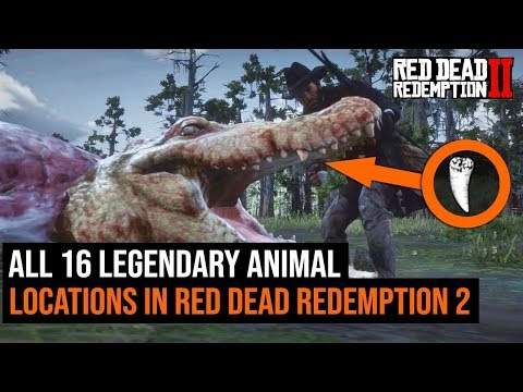 ALL 16 Legendary Animal Locations in Red Dead Redemption 2 - UCk2ipH2l8RvLG0dr-rsBiZw