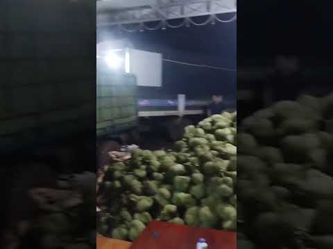 30_40 tấn chuẩn bị lên xe... cứ hẹ hẹ vậy thoi #youtuber