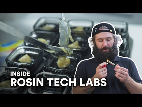 Inside Rosin Tech Labs: Mastering solventless cannabis extracts