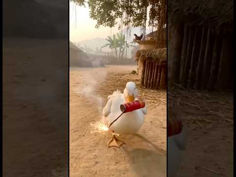When a Duck Meets a Dog 😂 | Unexpected Funny video | You Must See!